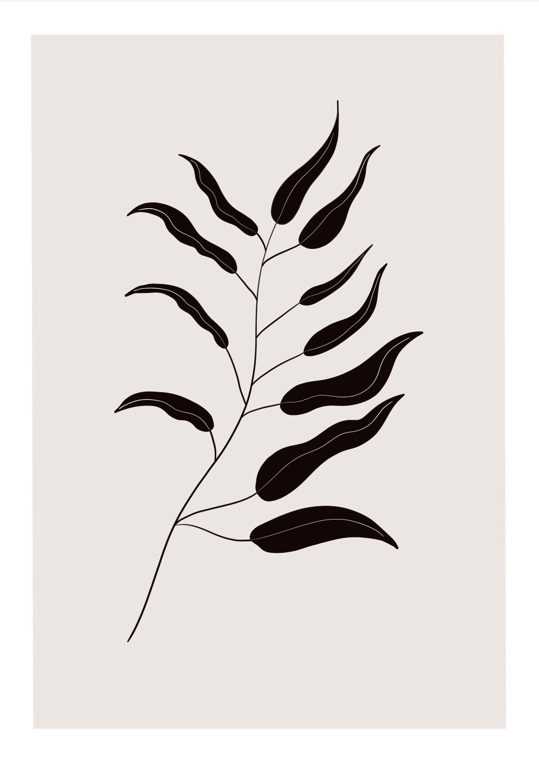 Floral wall prints (Set of 2)